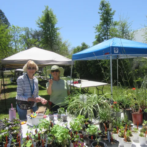 Plant Sale volunteers