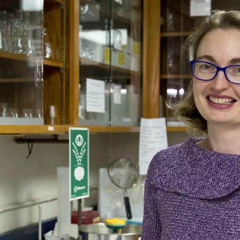 Professor Fiona Goggin of the University of Arkansas