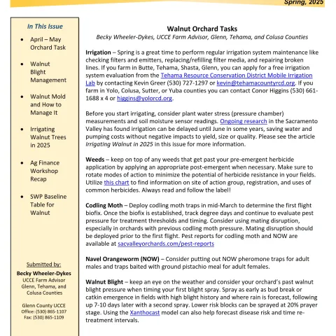 Glenn County UCCE Sacramento Valley Walnut Newsletter - Spring 2025 Image