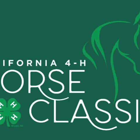 Horse Classic Logo Image