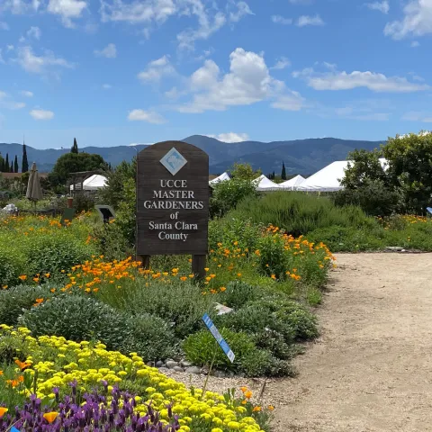 Master Gardener sign amid spring wildflowers