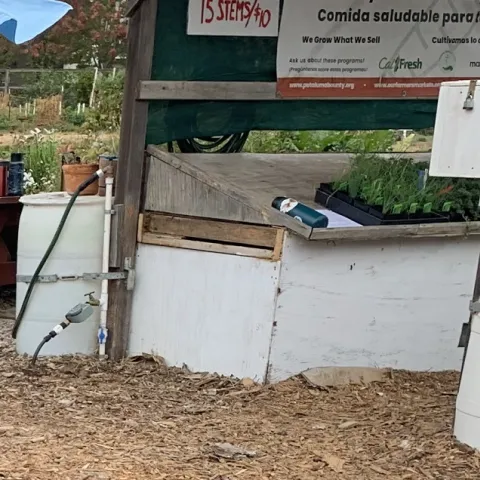 UC Master Gardener Program Spanish language pages