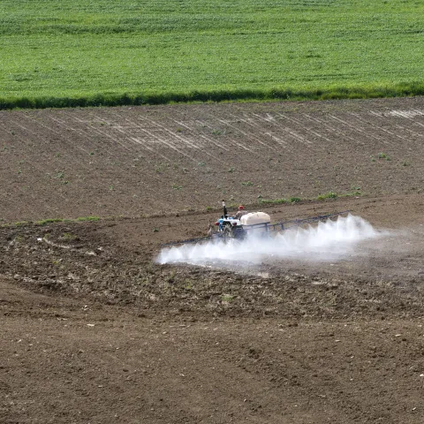 Pesticides Applied to Control Nematodes