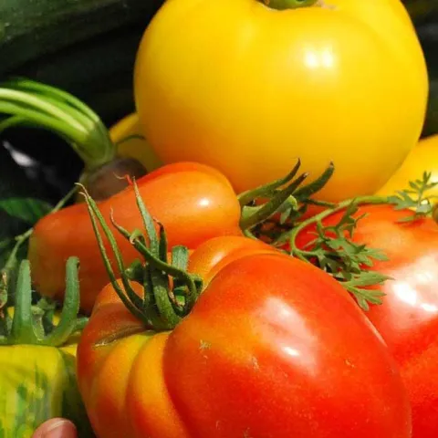 This Month In The Garden – April