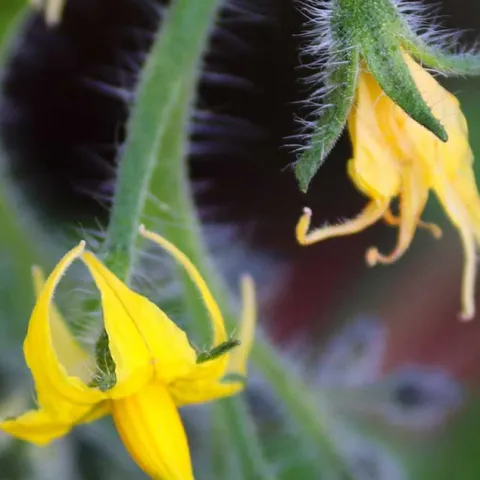 UCI Sustainability Program Update