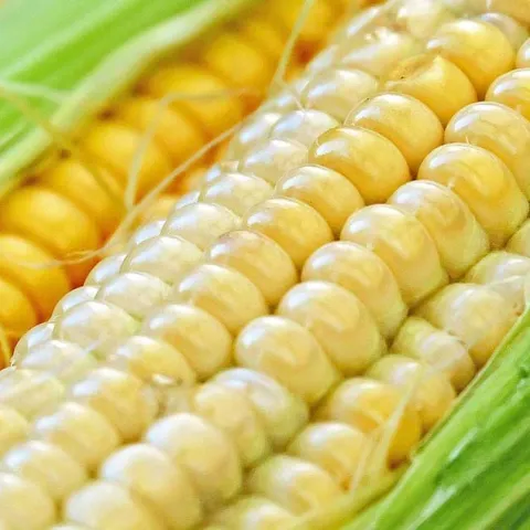 This Month In The Garden – May 2025