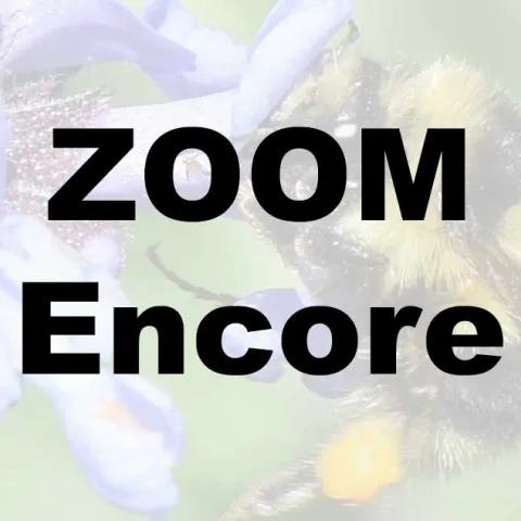 Bees. Butterflies and other Pollinators - ZOOM Encore