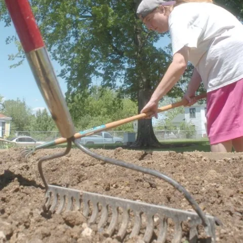 Person working soil with rake in foreground