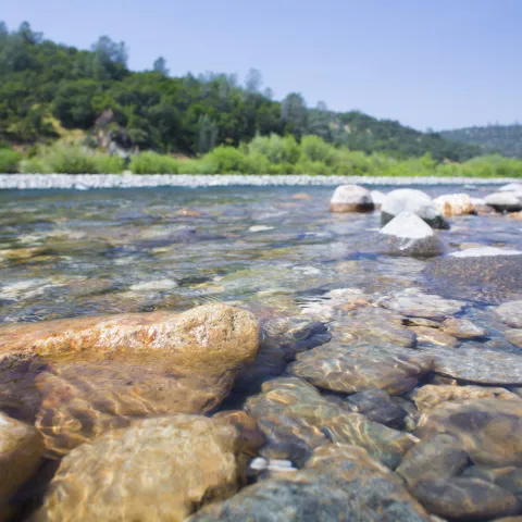 Water in a stream flows over river rocks with forest in background