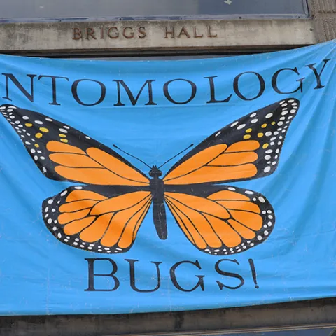 A monarch flag signifies the home of the UC Davis Department of Entomology and Nematology.