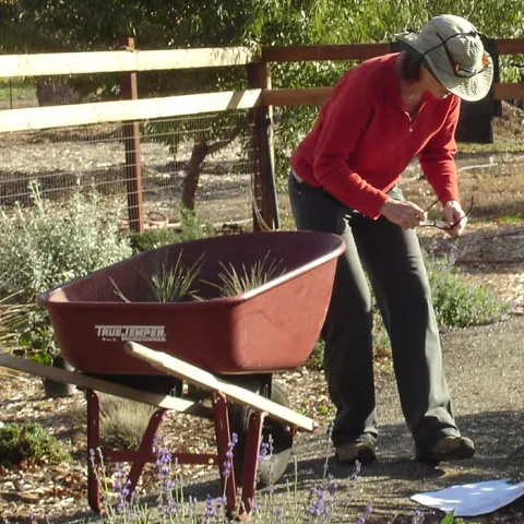 Person planting a landscape