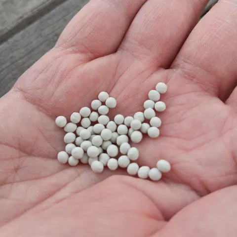 A hand holding a couple dozen pelleted seeds