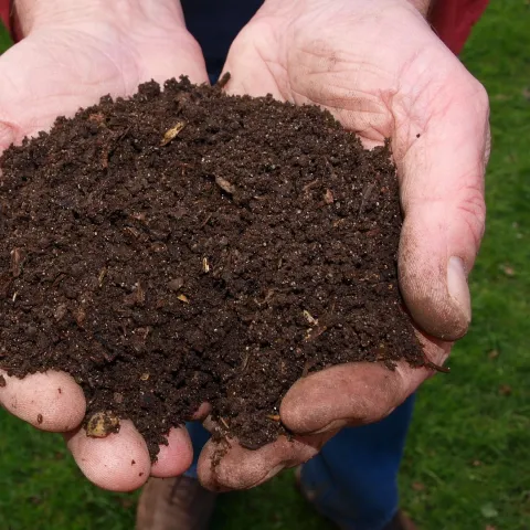 Soil in hands