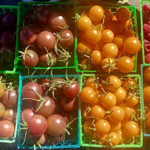 cherry tomatoes and raspberries from the Edible Demo Garden at Indian Valley College Novato CA
