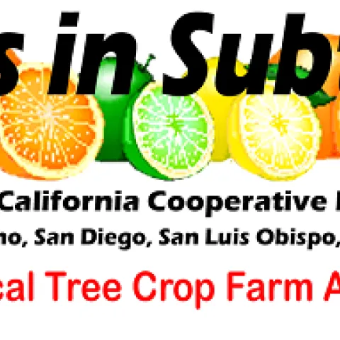 Topics in Subtropics Newsletter
