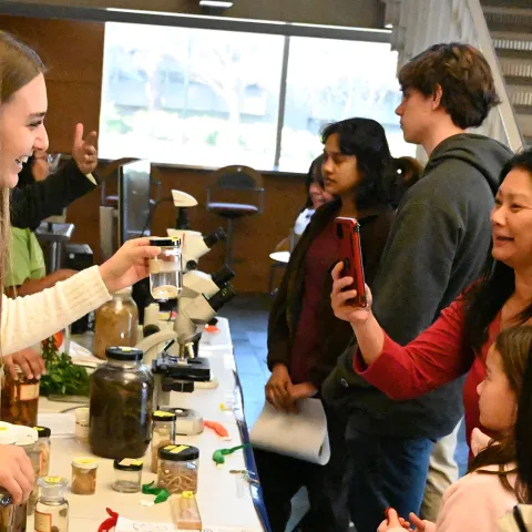 UC Davis doctoral candidate Alison Blundell showing nematode specimens at UC Davis Biodiversity Museum Day. (Photo by Kathy Keatley Garvey)