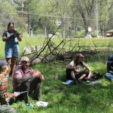 Group of people sitting and standing outside participate in a forestry class.