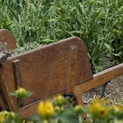 Saving Water – Drought Tolerant Gardening