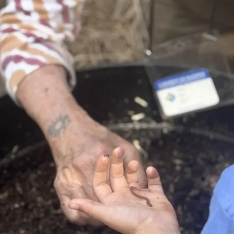 Petaluma spring event for kids gardening exploration