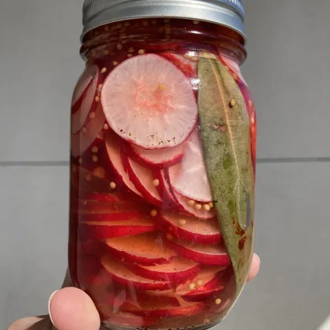 pickled raddish