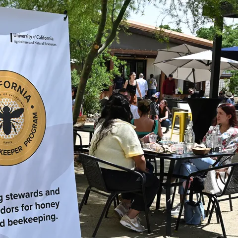 California Master Beekeeper Progrm banner at the mini-festival at The Hive. (Photo by Kathy Keatley Garvey)