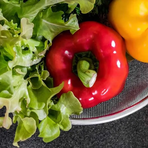 Create a Salad Bowl Garden - Garden Grove
