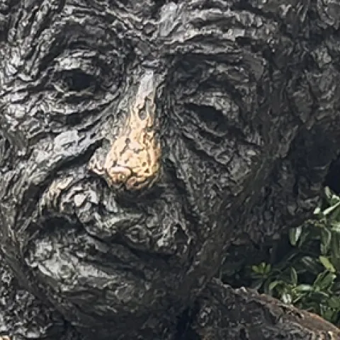 Albert Einstein Memorial, Washington D.C.