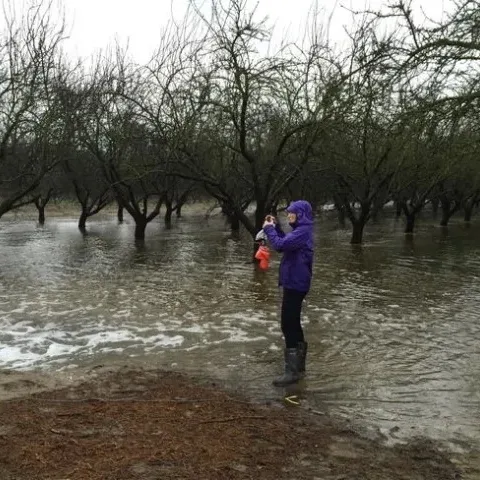 Una científica de UC Davis estudiando como almacenar el agua del rio