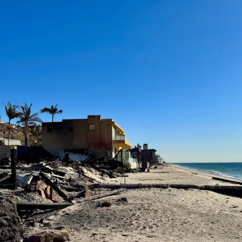 House after the Fires in LA