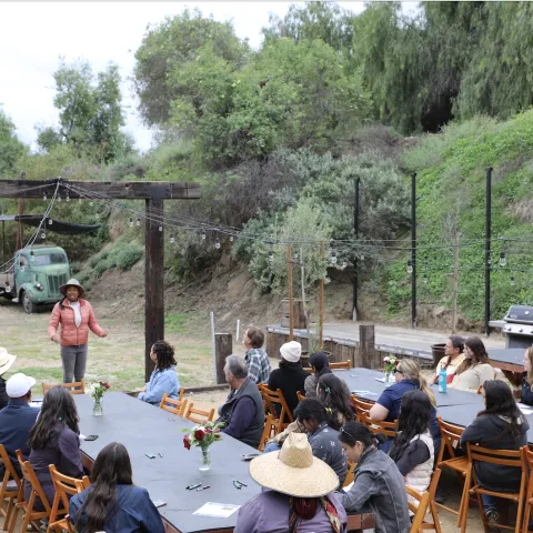 People sit outdoors at long tables listening to a woman speak