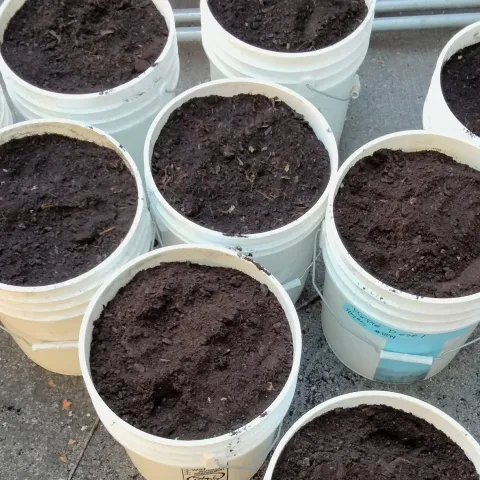 buckets with dehydrated food waste powder