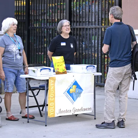master gardener volunteers answering gardening questions