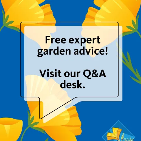 Free Expert Advice