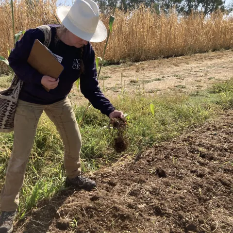 Margaret Lloyd, wearing a white, wide-brimmed hat and holding a clipboard, grabs a handful of soi from a tilled field.