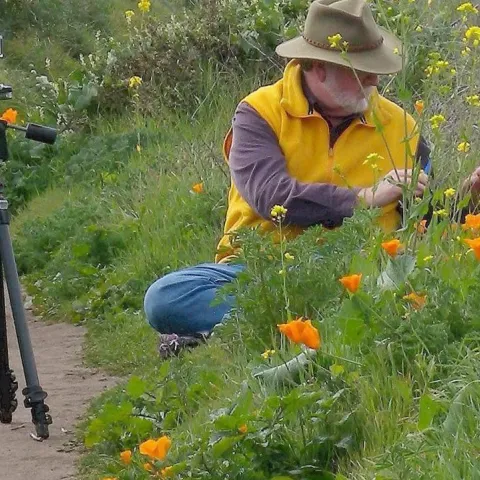 Marshall arranges orange poppies an yellow flowers. On the left is his camera on a tripod.