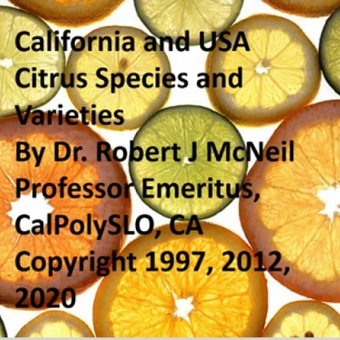 Citrus Avocado Guides