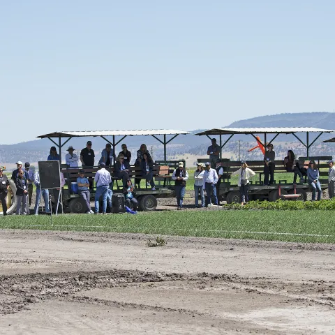 People in and around tram cars on the edge of a crop field