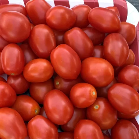 Small tomatoes