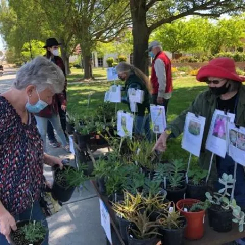 WCC Plant Sale