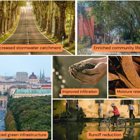 Urban Trees and Their Role/Benefits in Stormwater Management