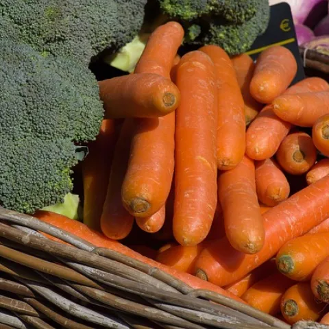 Broccoli and Carrots courtesy of Pixabay