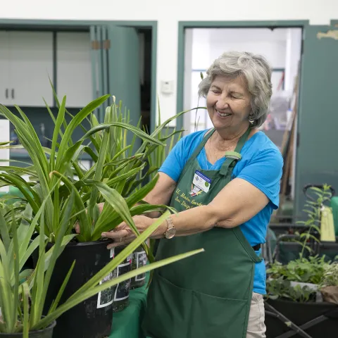 Julie at Plant Sale