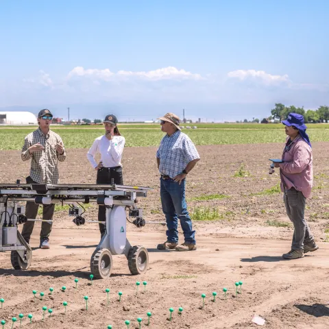 People stand in a field for a demonstration of a solar-powered robot providing chemical-free autonomous weed control