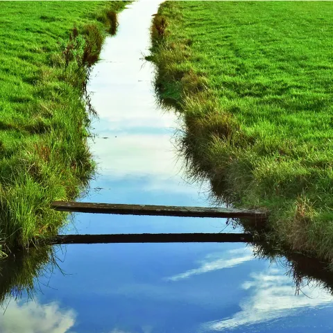 water through a field