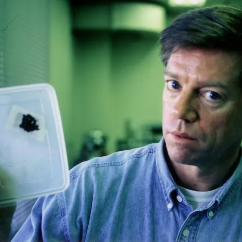 Chemical ecologist Jeffrey Aldrich working in Japan in the lab of Walter Leal. (Photo by Walter Leal)