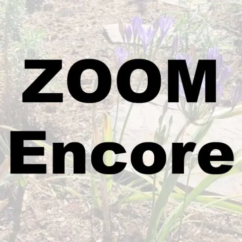 California Natives – Zoom Encore