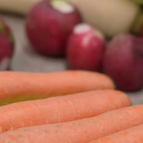 Cool Season Gardens - Irvine