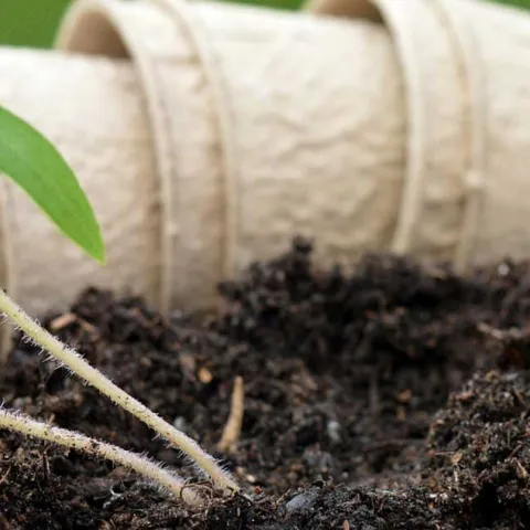 Tending Your Soil - Laguna Niguel