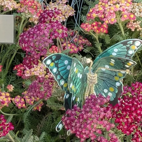 UC Master Gardeners Sonoma County Fair Exhibit 2025