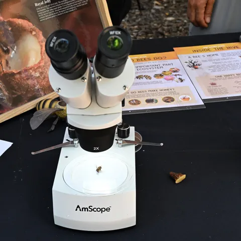 Microscopes from the California Master Beekeeper Program. (Photo by Kathy Keatley Garvey)